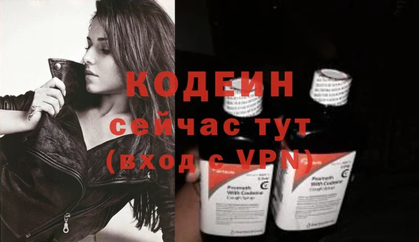гидра Щигры
