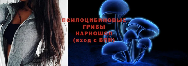 индика Семикаракорск
