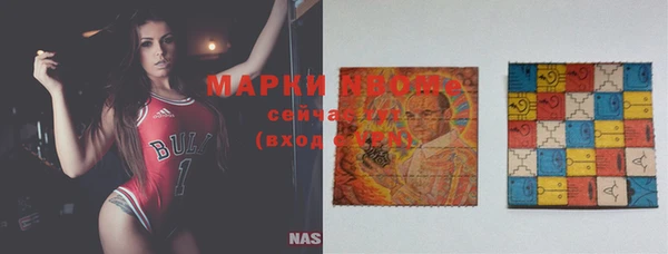 гидра Щигры
