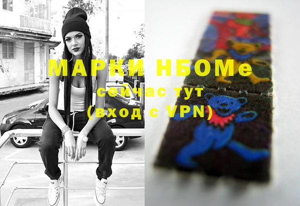 гидра Щигры