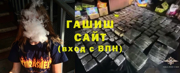 гидра Щигры