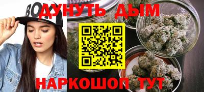 сатива Абакан