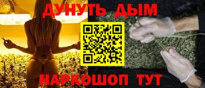 сатива Абакан