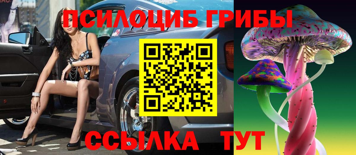 Псилоцибиновые грибы Cubensis Алейск