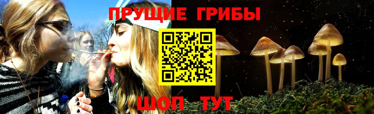 Псилоцибиновые грибы Magic Shrooms Алейск